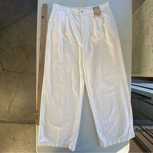 Dye these black Madewell Harlow Wide-Leg Jean size 30 10